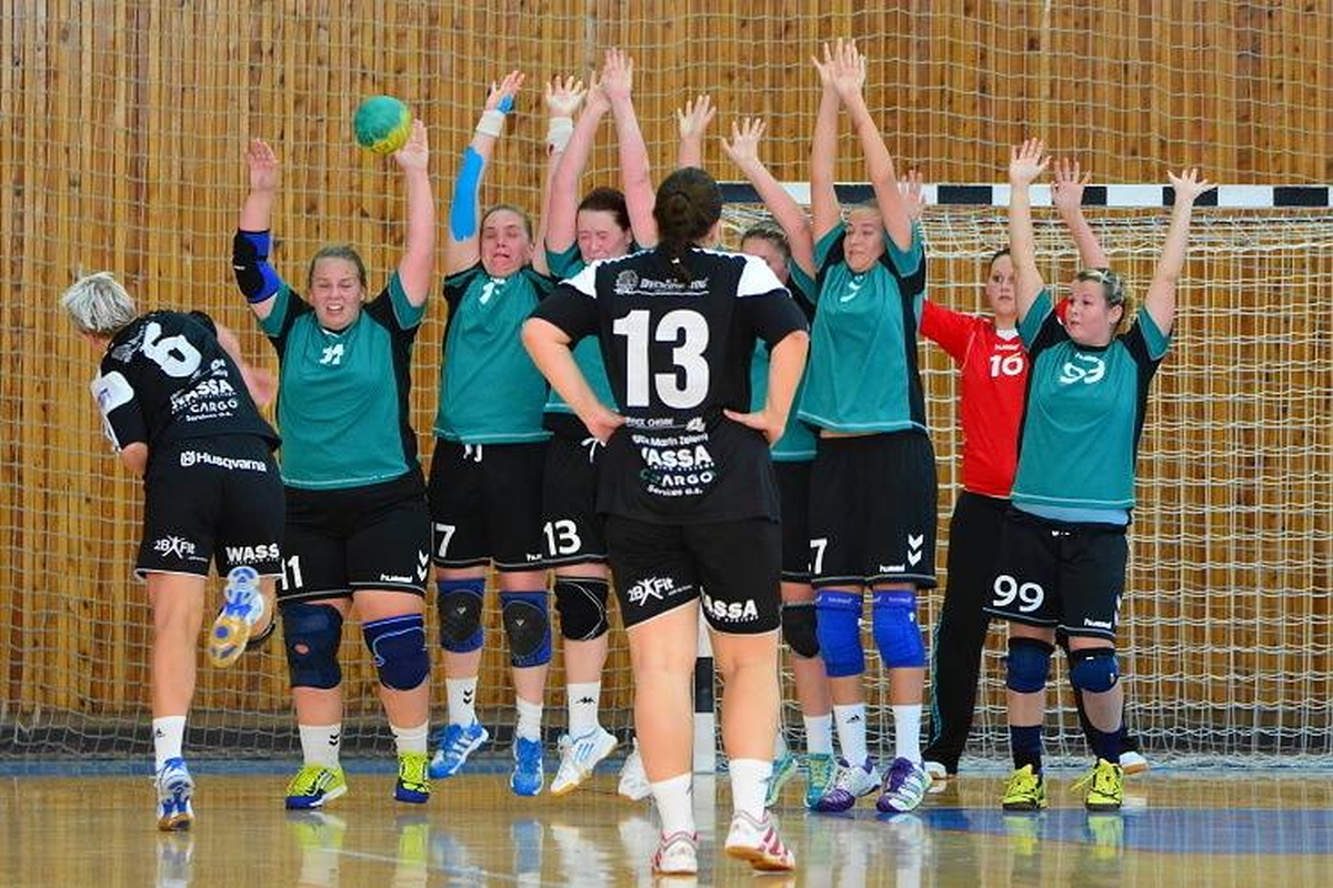 Lokomotiva Cheb – TJ Sokol Bělá pod Bezdězem 26:26 (11:14) - fotka 10