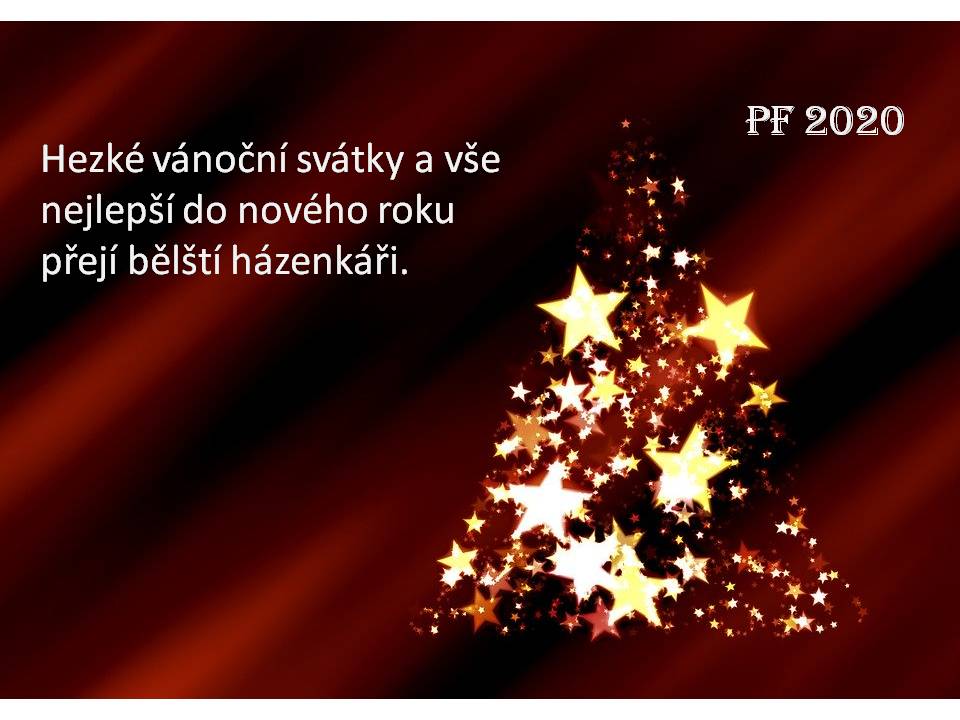 VŠEM HRÁČŮM, ČLENŮM A PŘÍZNIVCŮM PŘEJEME VESELÉ VÁNOCE A VŠE NEJLEPŠÍ DO NOVÉHO ROKU 2020.