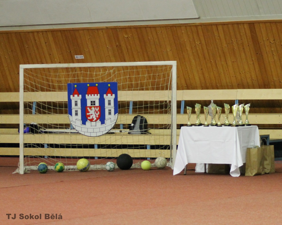 Sportovec města Bělá pod Bezdězem 2016 - výsledky hlasování - fotka 2