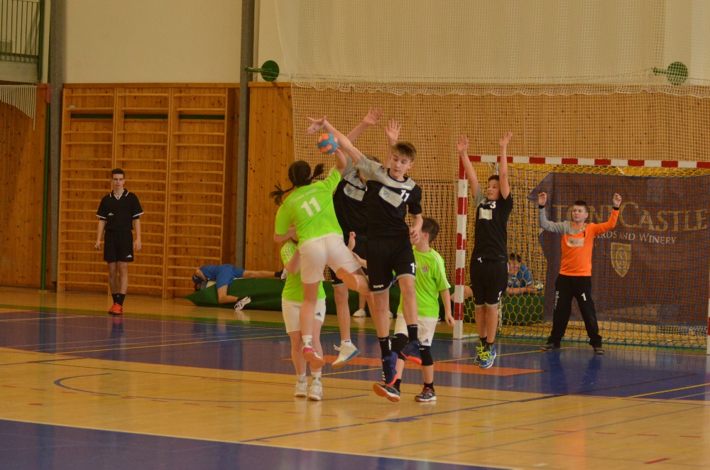 Turnaj mladšího žactva - 30.3. 2019 Zruč n.S. - fotka 6