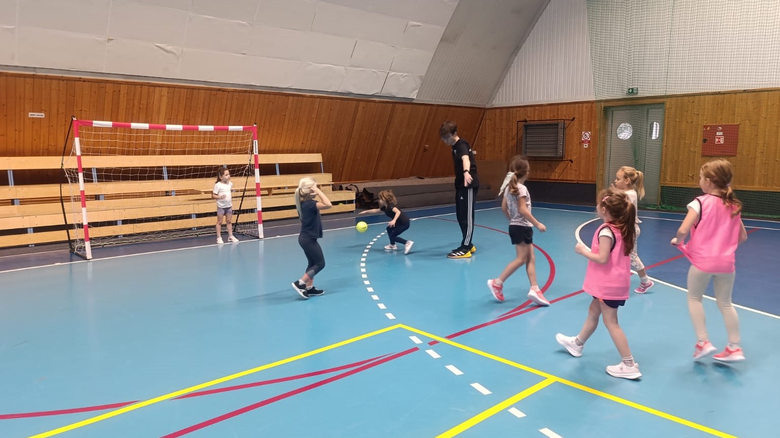 Ukázkové tréninky miniházené  - fotka 10