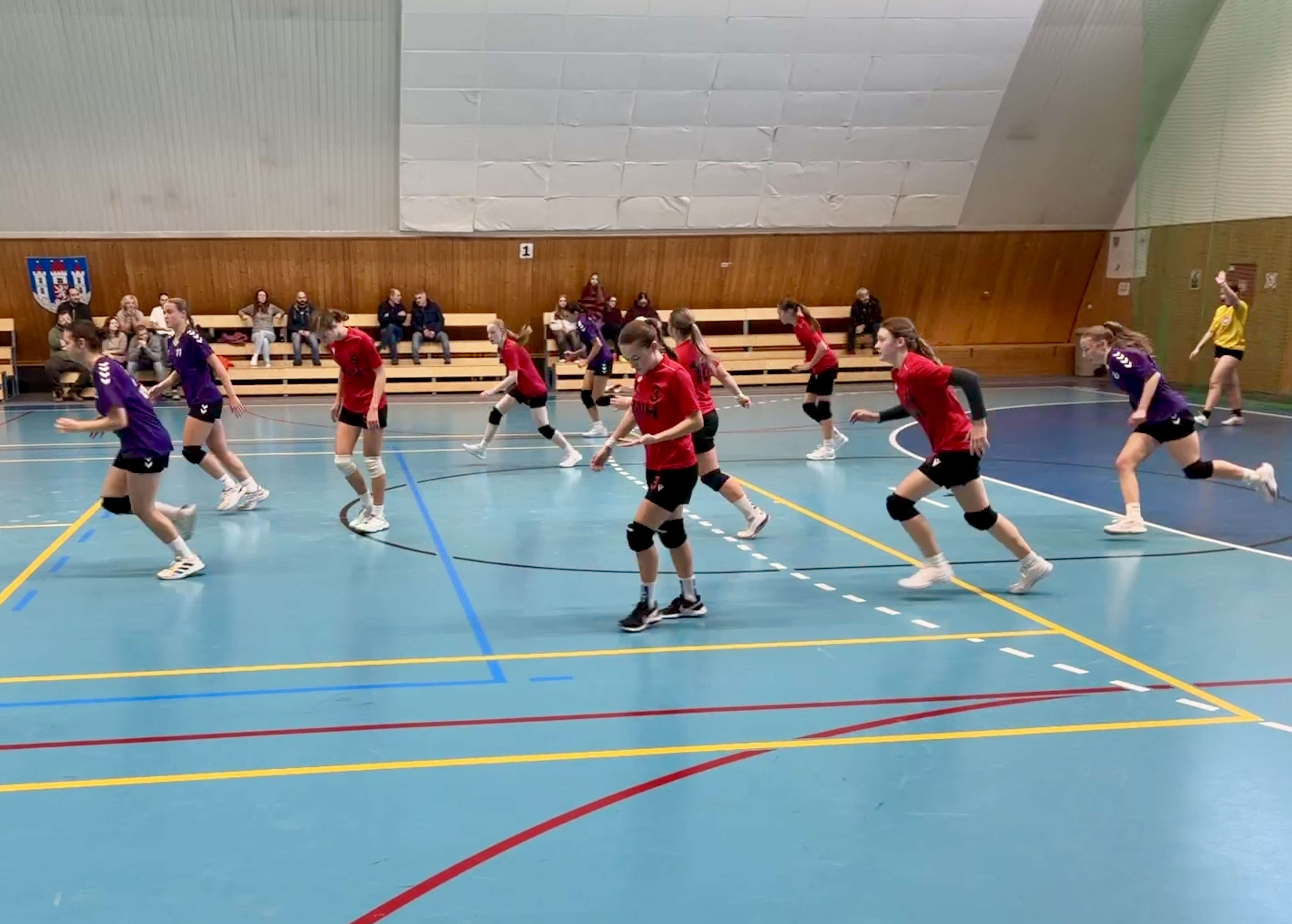 Vítězství mladších dorostenek nad Chrudimí - fotka 4